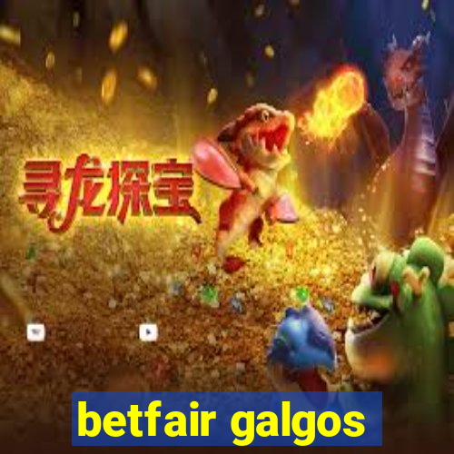 betfair galgos